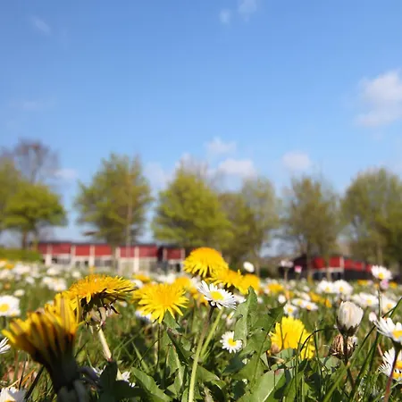 Holiday home With Sauna And Bubble Bath, On A Park, 4 Km Valkenburg Walem